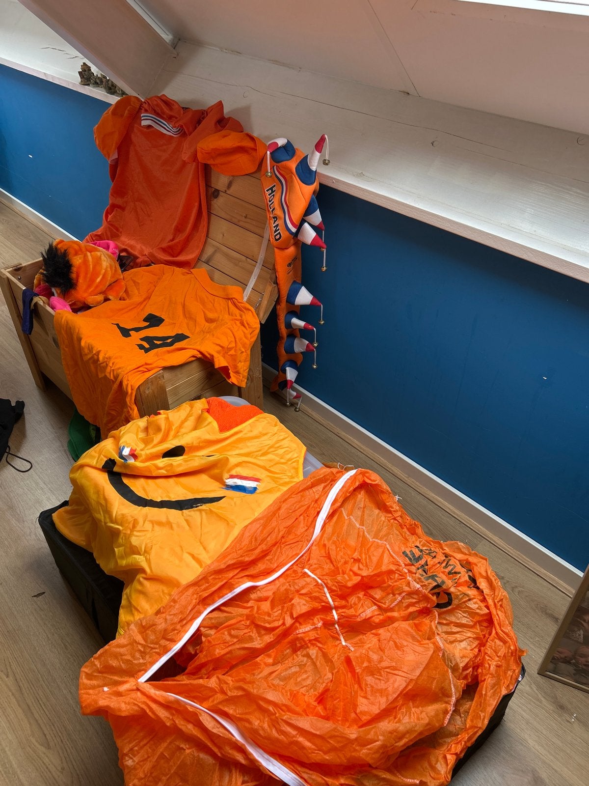 Oranje Kleding en Accessoires voor WK, Ophalen of Verzenden, Gedragen, Oranje of Koningsdag, Kleding
