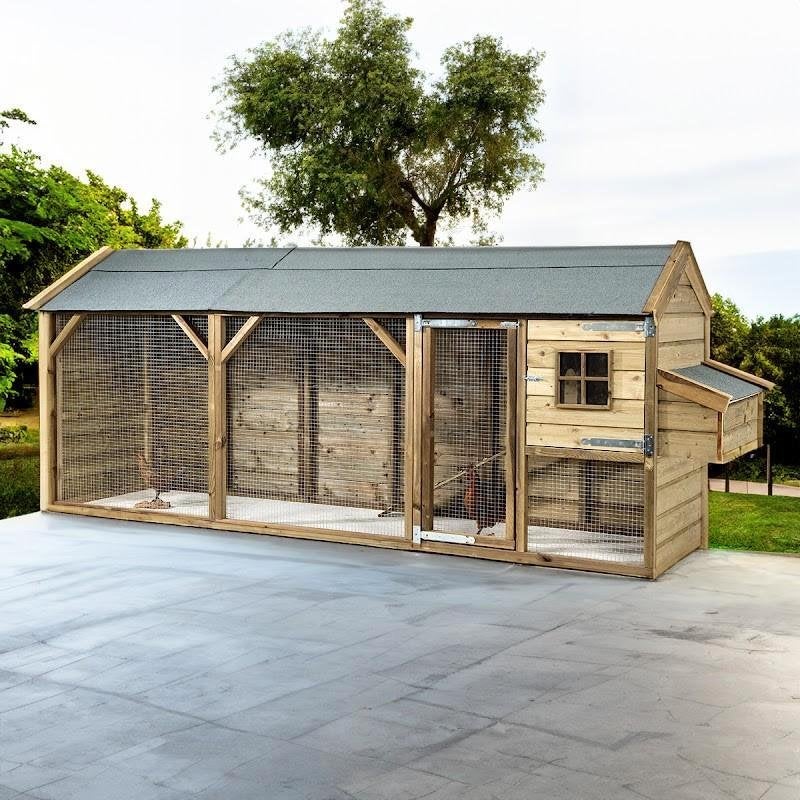 Kippenhok groot Eva, Ophalen of Verzenden, Nieuw, Kippenhok of Kippenren