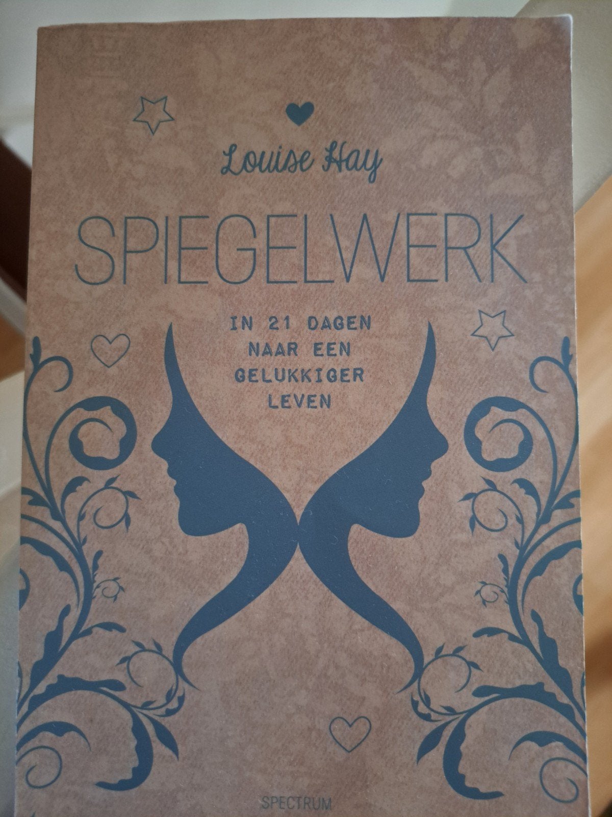Spiegelwerk  Louise Hay  In 21 dagen naar een gelukkiger le, Ophalen of Verzenden, Zo goed als nieuw, Louise Hay, Nederland