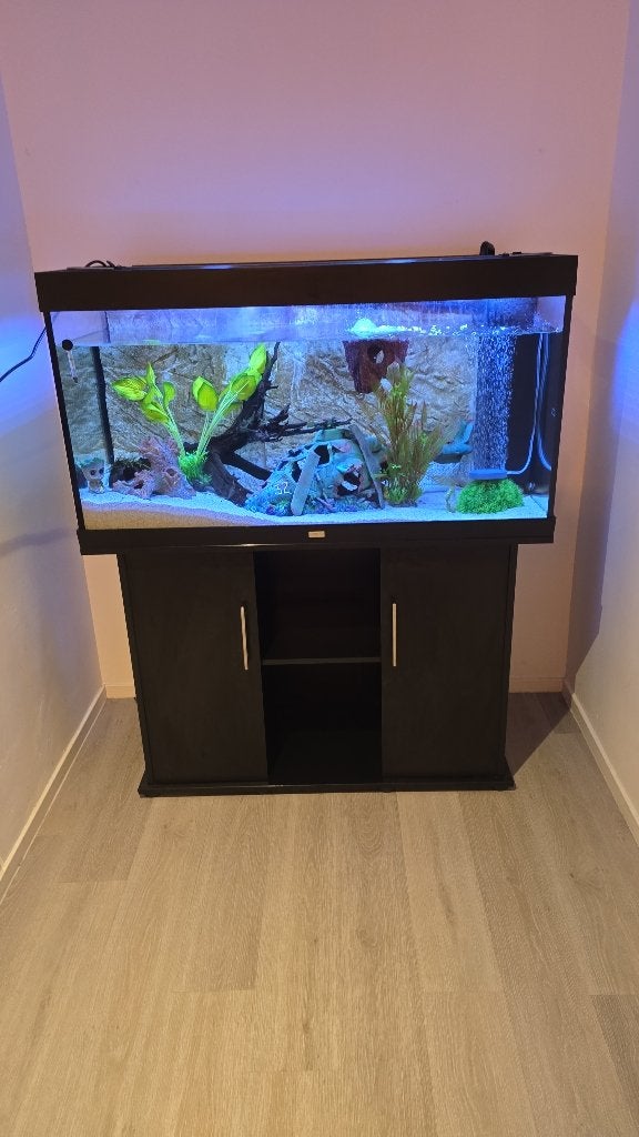 Juwel aquarium met axolotl, Ophalen, Gebruikt, Gevuld zoetwateraquarium, Inclusief toebehoren