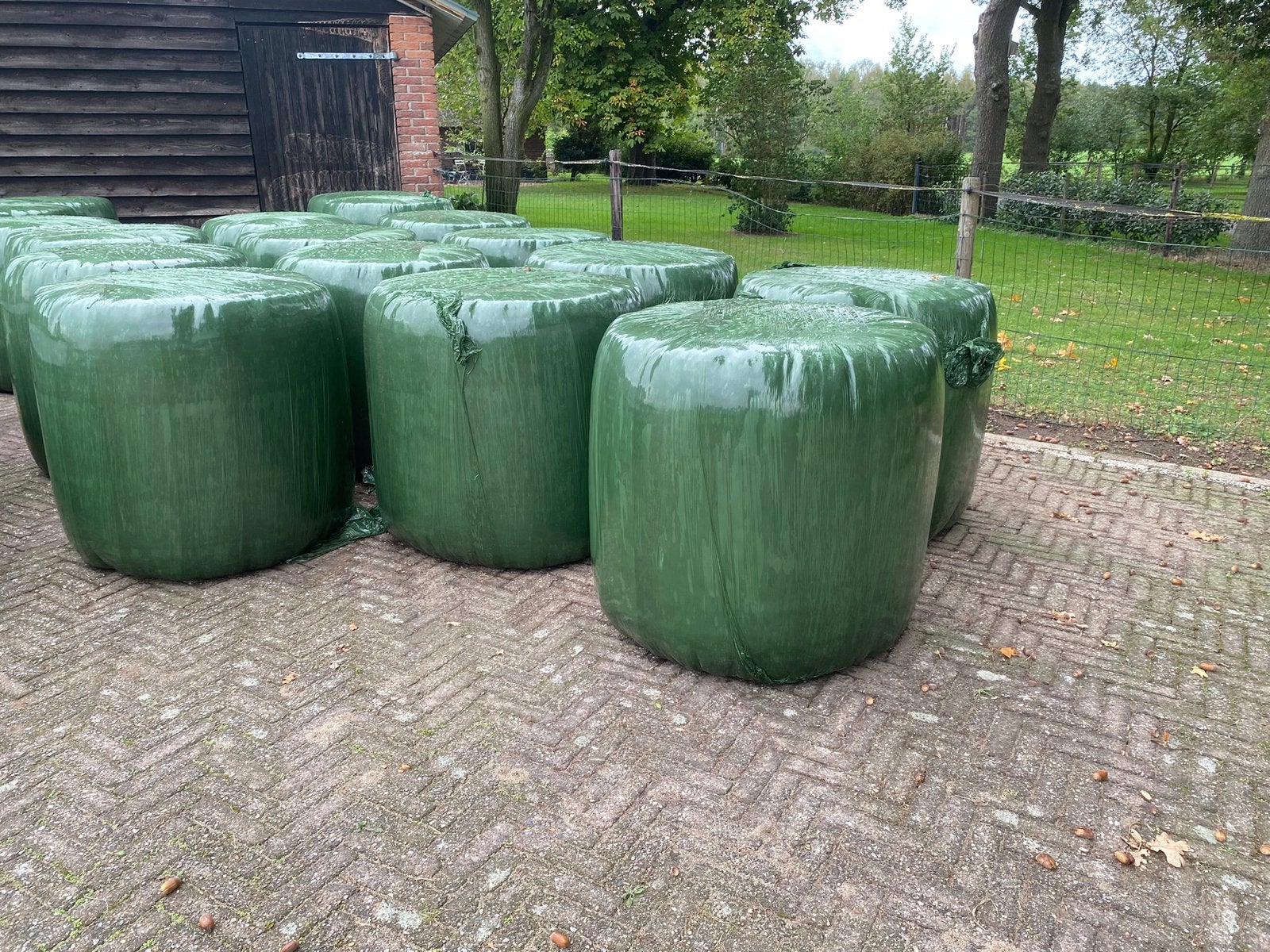 Midibalen, Dieren en Toebehoren, Ophalen of Verzenden, Vee