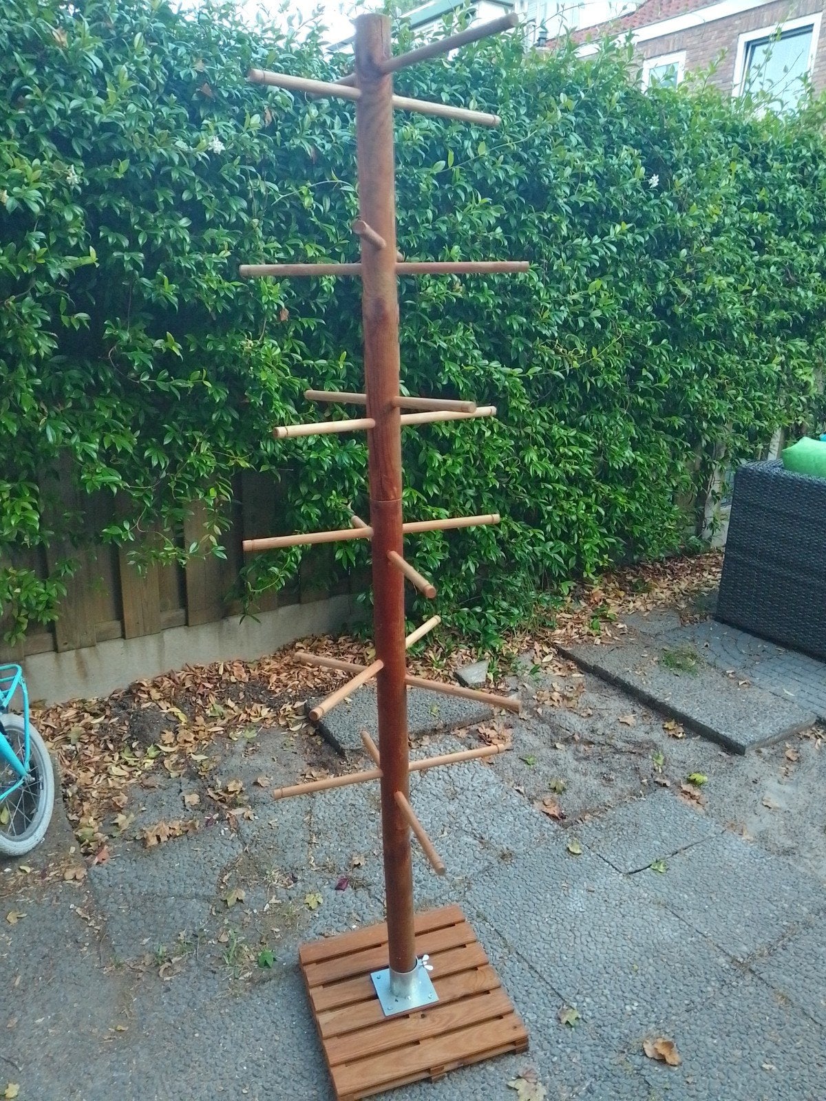 kokodama boom / presentation tree, Ophalen of Verzenden, Overige typen, 150 tot 200 cm