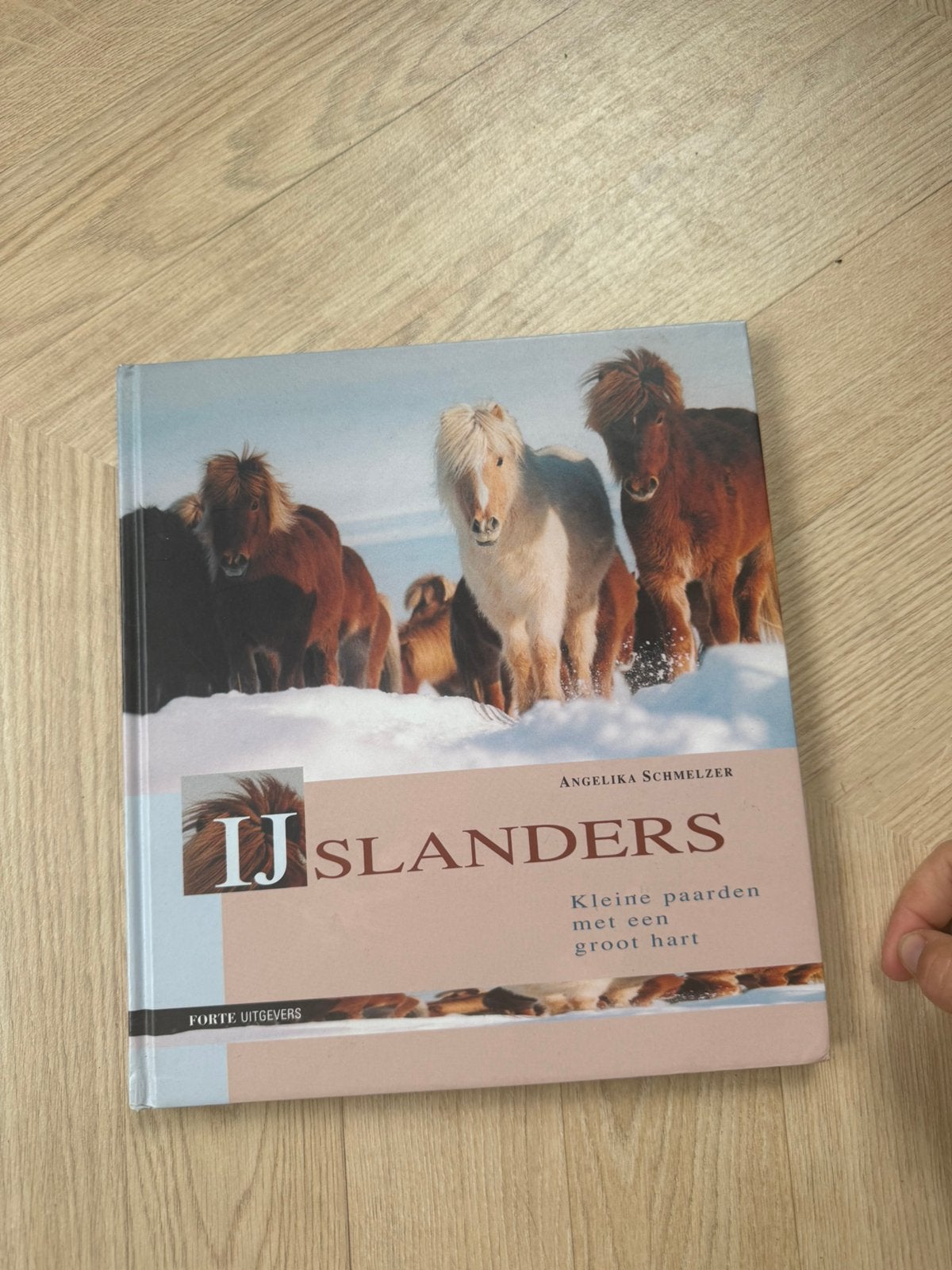 IJslander paardenboek, Ophalen of Verzenden, Zo goed als nieuw
