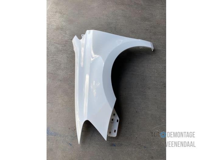 Scherm links-voor van een Volkswagen Polo (LB9A), -, Volkswagen, -, Nieuw