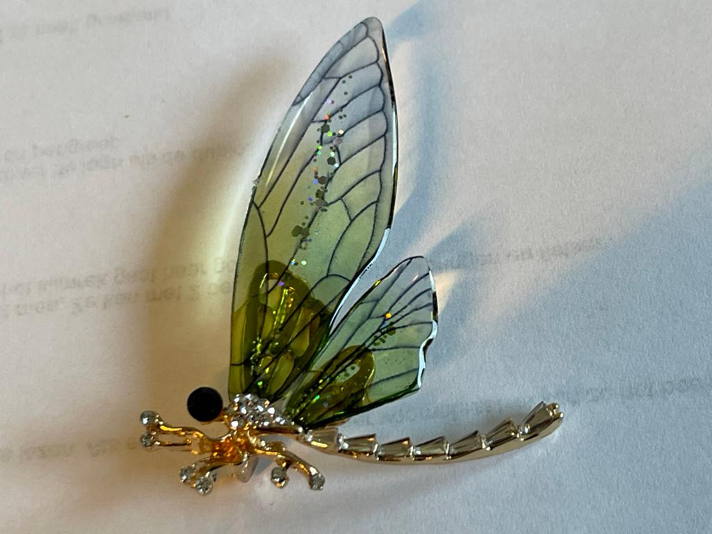 Prachtige Libelle Broche met Glanzende Vleugels, Sieraden, Tassen en Uiterlijk, Broches, Overige materialen, 4 tot 7 cm, Verzenden