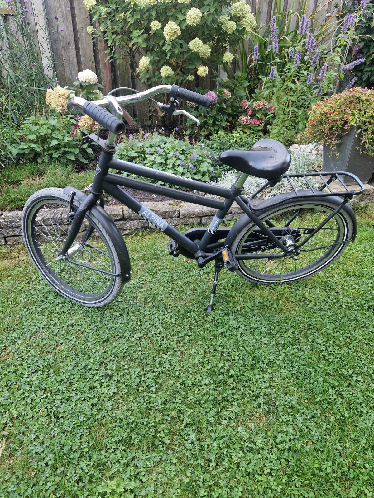 Alpine 20 inch jongensfiets, Ophalen, Gebruikt, 20 inch, Alpina
