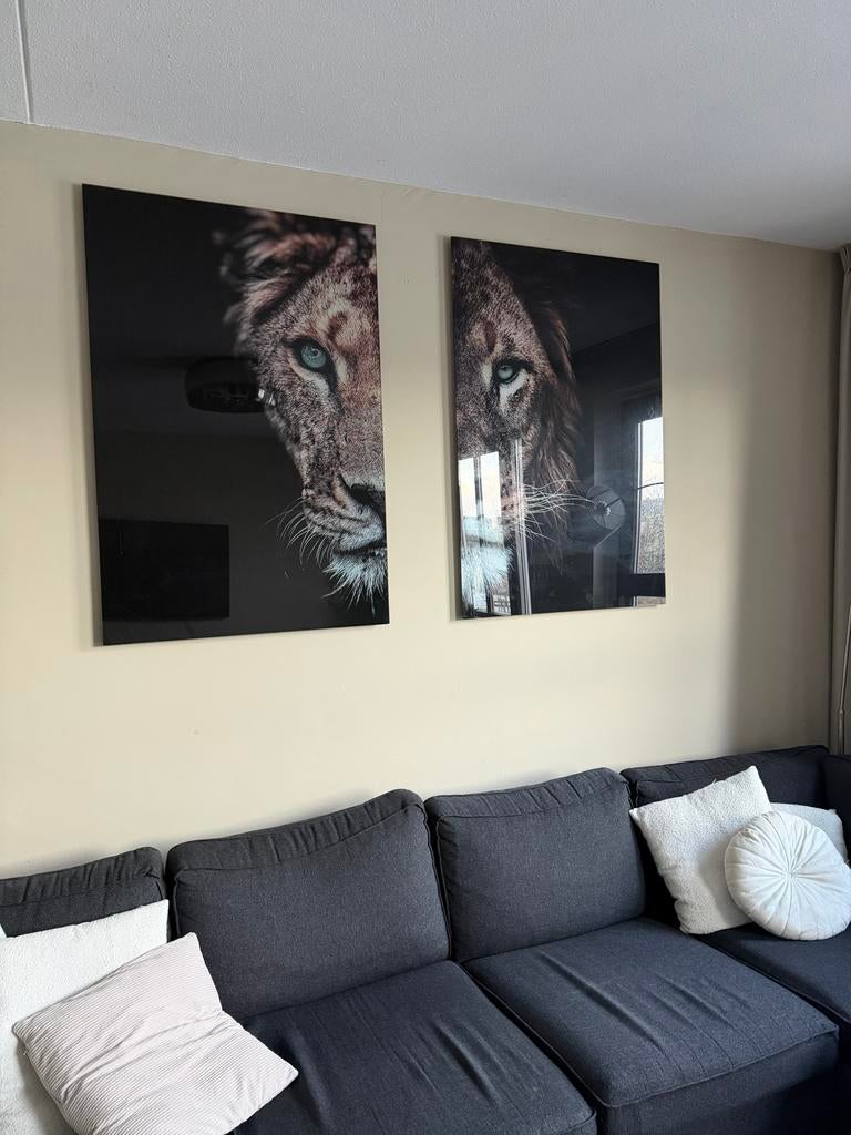Set van 2 Leeuwenkoppen op Plexiglas, Ophalen, Gebruikt, 75 tot 100 cm, Foto of Poster