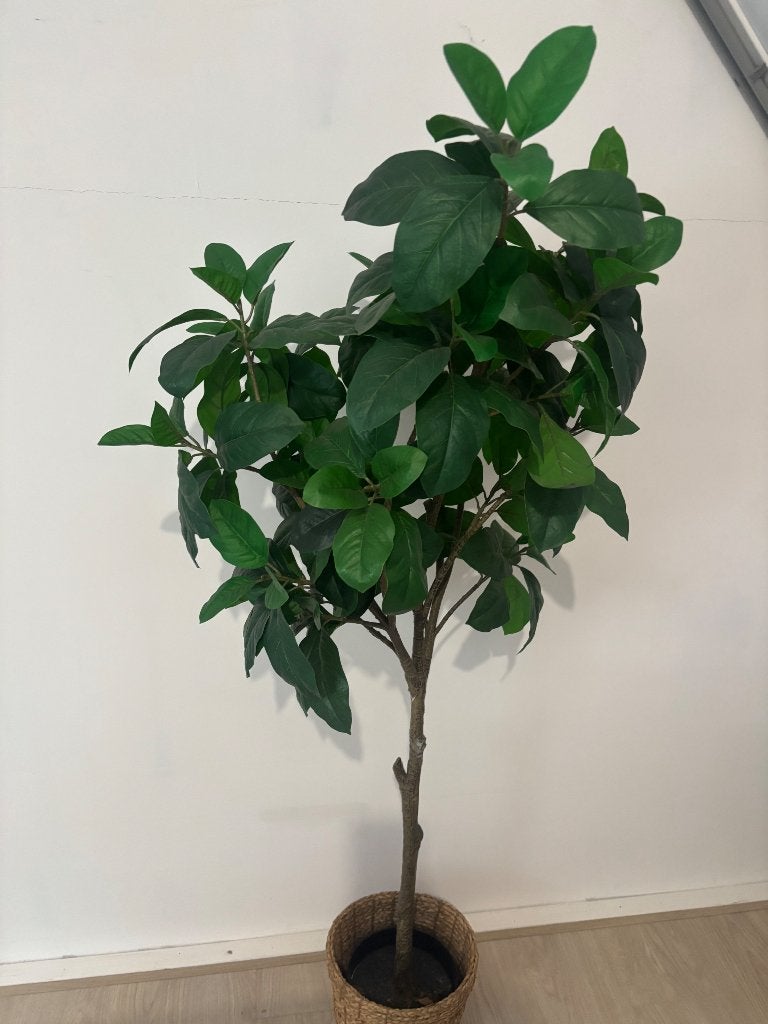 IKEA kunstplant 180cm, Groen, Kunstplant, Zo goed als nieuw, Ophalen