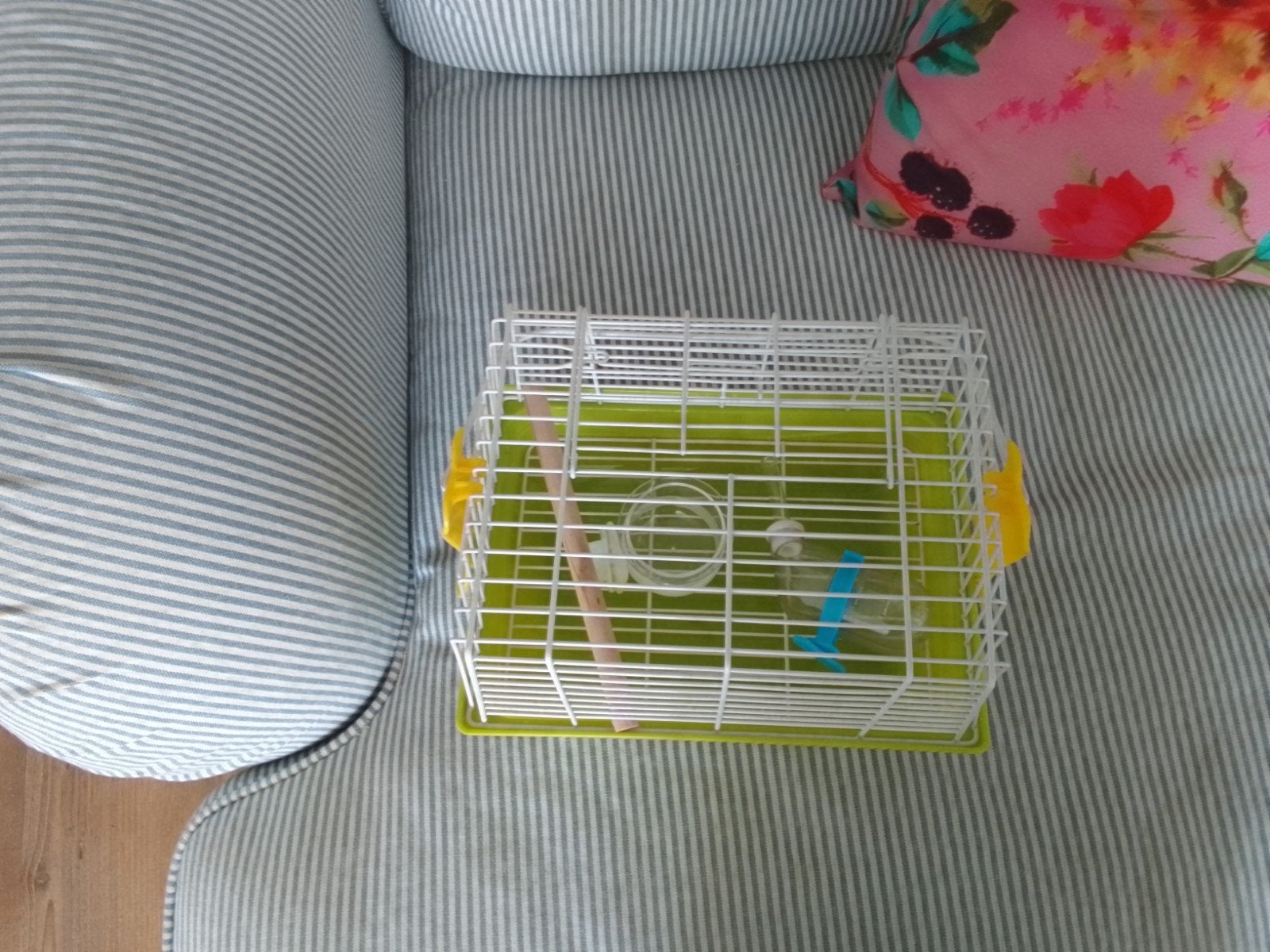Vervoerkooitje voor kleine vogel, Ophalen, Nieuw, Kunststof, Vogelkooi