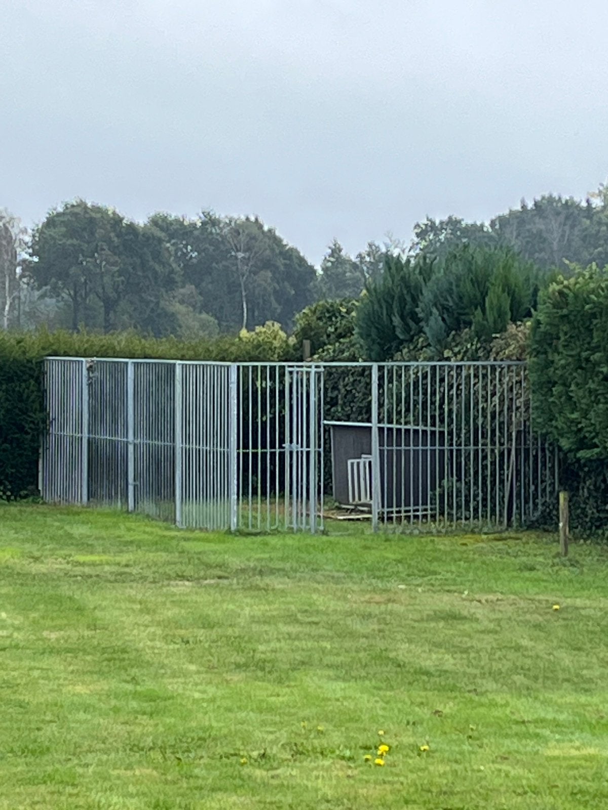 Hondenkennel gegalvaniseerd staal, Ophalen, Met poort, Gebruikt, Spijlenhekwerk