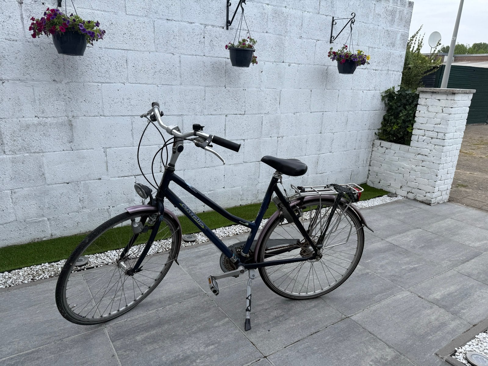 Gazelle damesfiets met lage instap, Ophalen, Terugtraprem, 50 tot 53 cm, Gazelle
