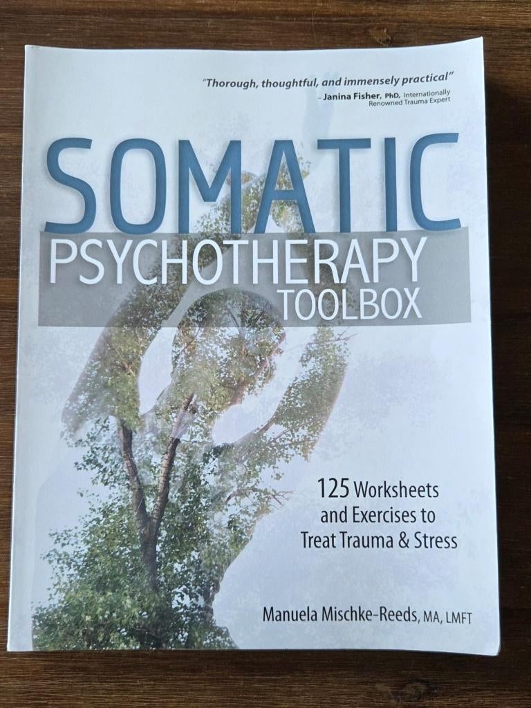 Somatic Psychotherapy Toolbox, Ophalen of Verzenden, Zo goed als nieuw, Manuela Mischke Reeds