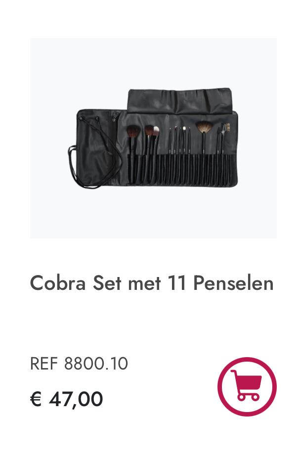 Nieuwe set penselen voor visagie, Ophalen, Overige kleuren, Gehele gezicht, Nieuw
