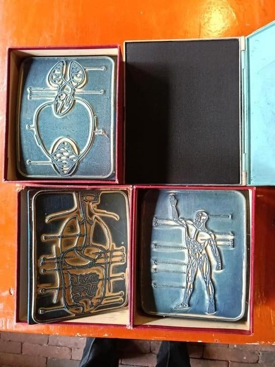 Vintage Anatomie Stempels + Stempelkussen, Gebruikt, Houten stempel, Onbekend, Ophalen of Verzenden