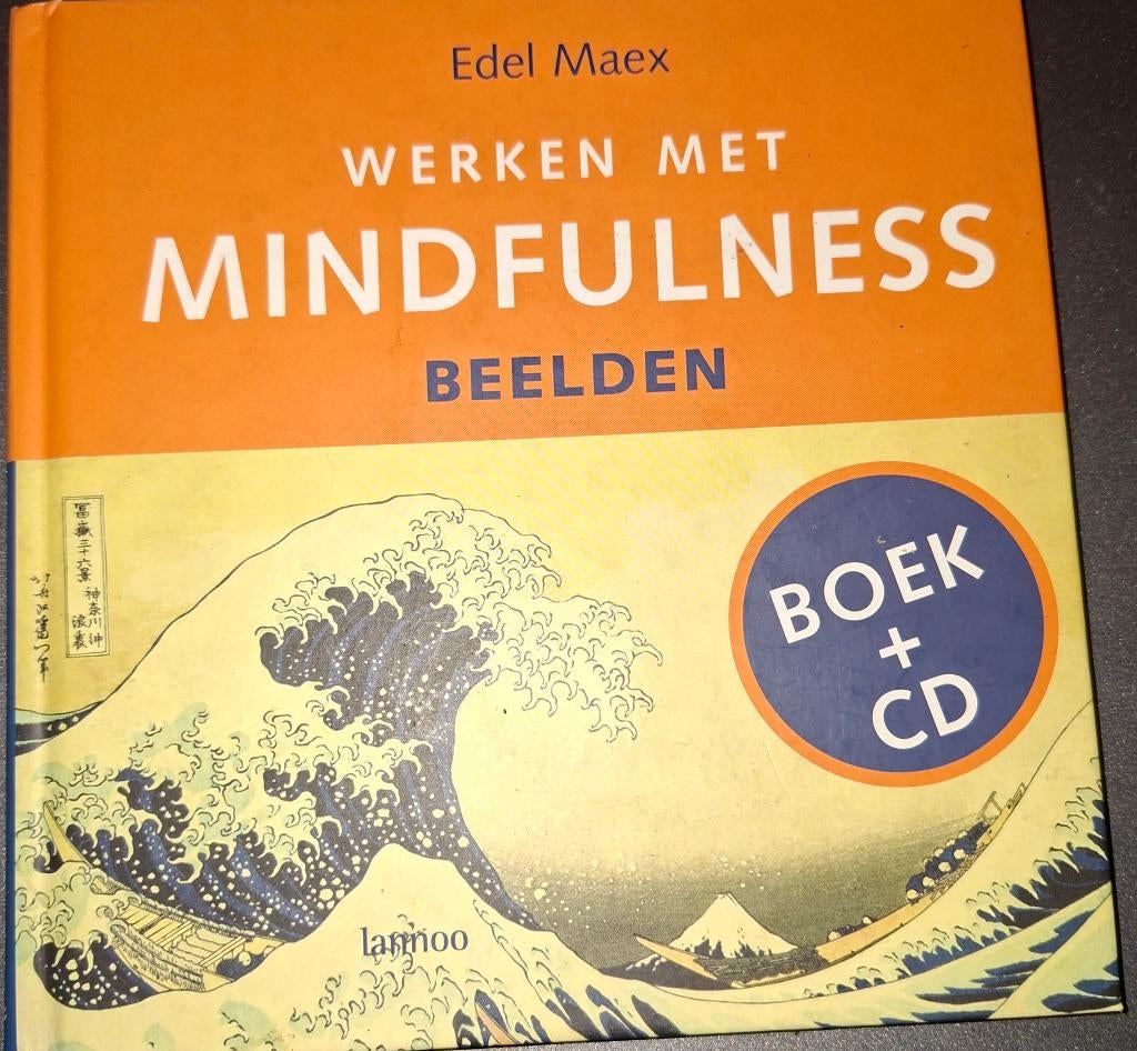Werken met mindfulness (boek + cd), Ophalen of Verzenden, Zo goed als nieuw, Overige typen