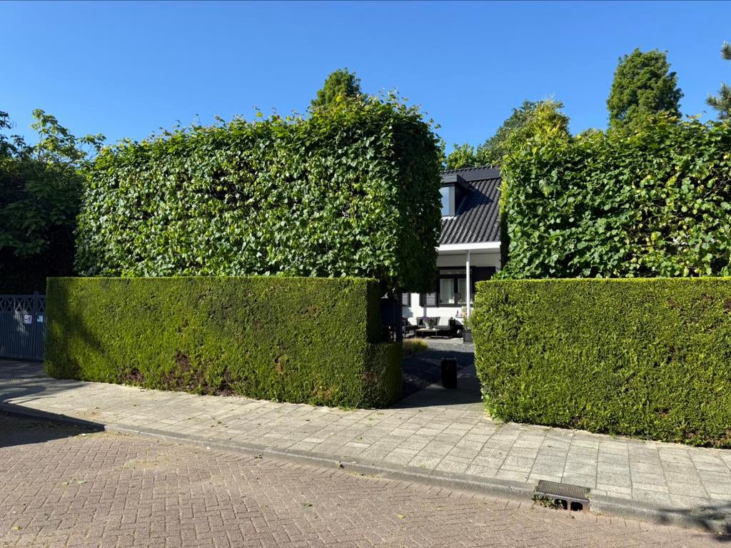 Hovenier-tuinman/onderhoud-aanleg, Diensten en Vakmensen, Tuinmannen en Stratenmakers, Garantie, Tuinontwerp