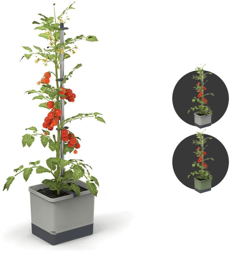 Tomatenpot met waterreservoir - lichtgrijs, 25 tot 40 cm, Rond, Nieuw, Ophalen of Verzenden