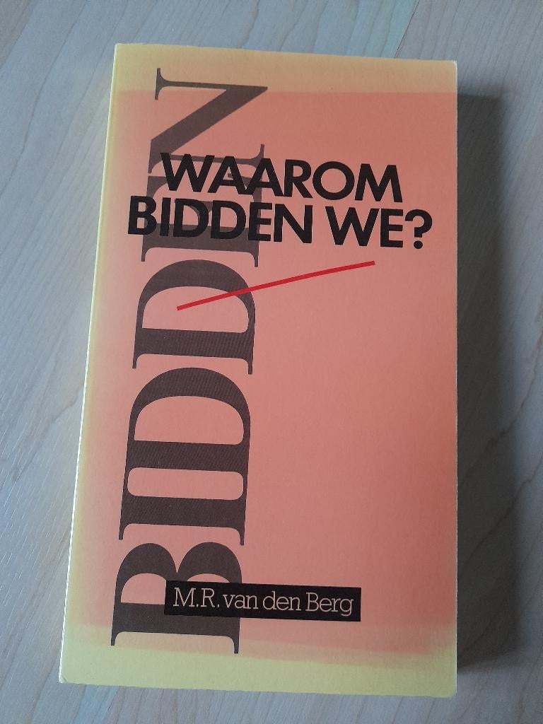 WAAROM BIDDEN WE? door MR van den Berg, Ophalen of Verzenden, Gelezen