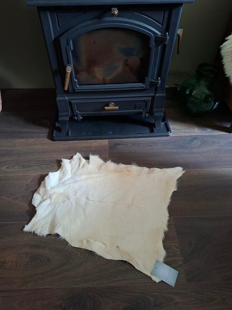 Witte geitenvacht - Decoratief en uniek, Ophalen of Verzenden, Nieuw