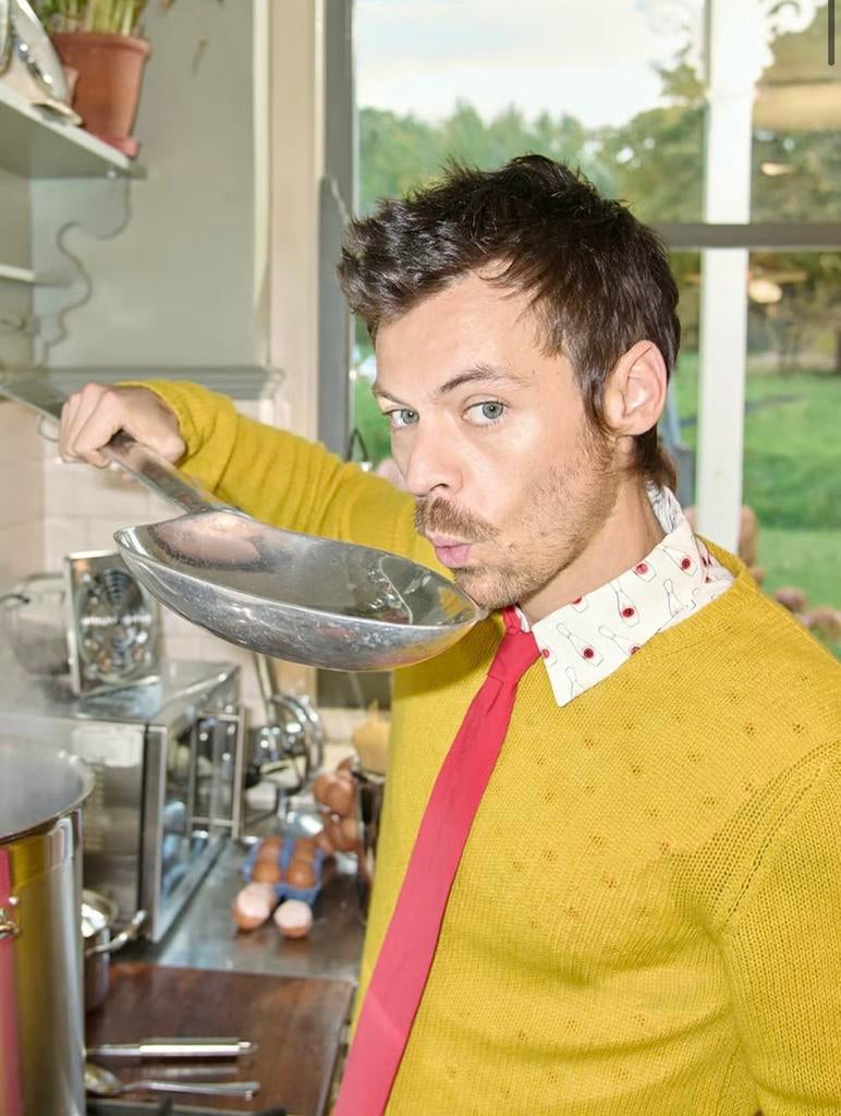 harry styles concert tickets op 29 mei, Twee personen, Mei