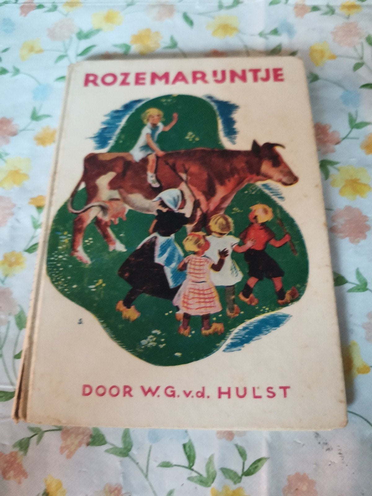 Rozemarijntje - W.G. van de Hulst - Oud kinderboek, Ophalen of Verzenden