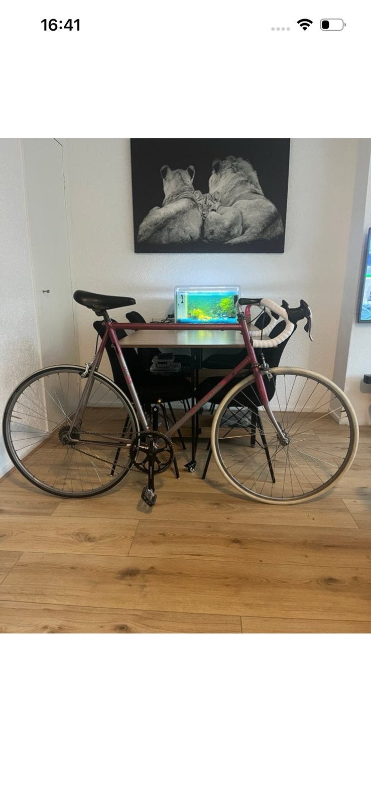 Koga Miyata Granspecial Single gear Campagnolo rijklaar, Ophalen, Gebruikt, Staal, Velgrem