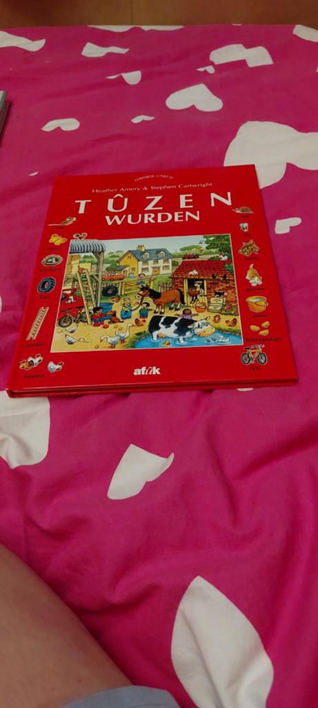 Tûzen Wurden - Fries woordenboek voor kinderen, Ophalen of Verzenden, Zo goed als nieuw, Heather Amery & Stephen Cartwright, Non-fictie
