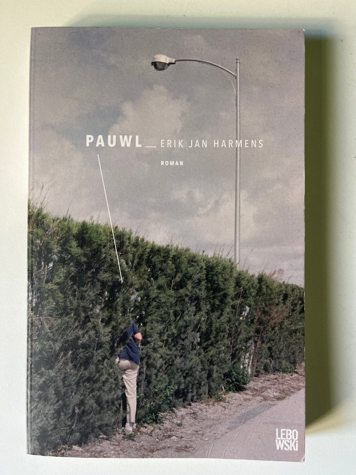 Pauwl - Erik Jan Harmens (Roman), Ophalen of Verzenden, Zo goed als nieuw, Nederland
