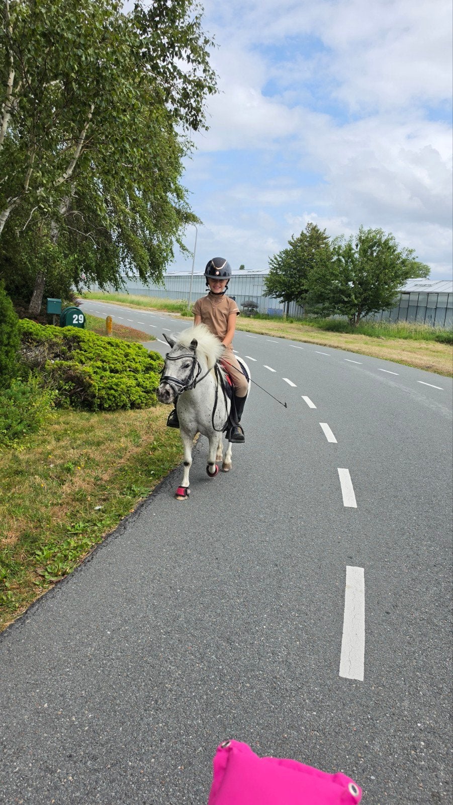 verzorg pony gezocht onder begeleiding van moeder, Ophalen of Verzenden