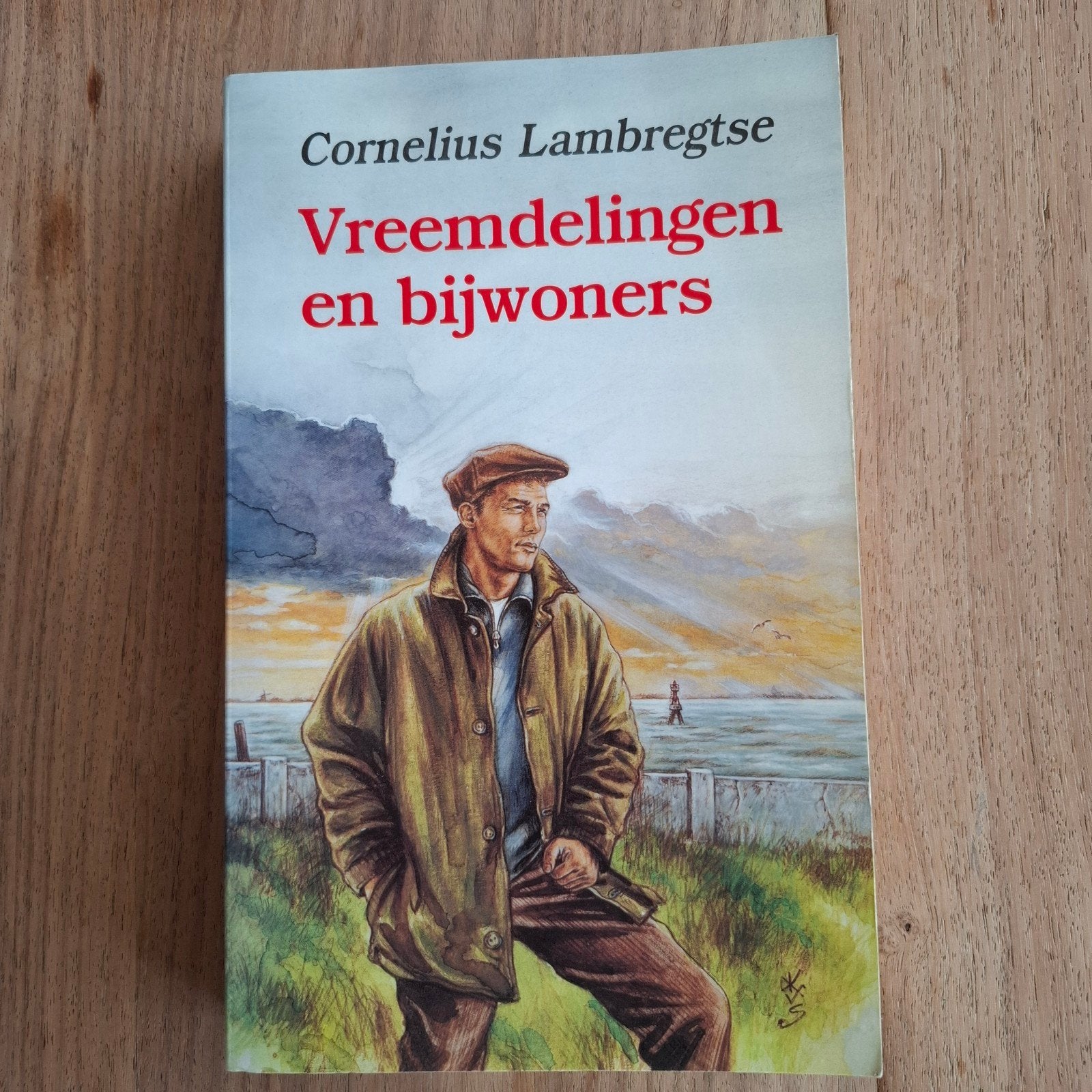 Vreemdelingen en bewoners Cornelius Lambregtse, Boeken, Ophalen of Verzenden, Zo goed als nieuw