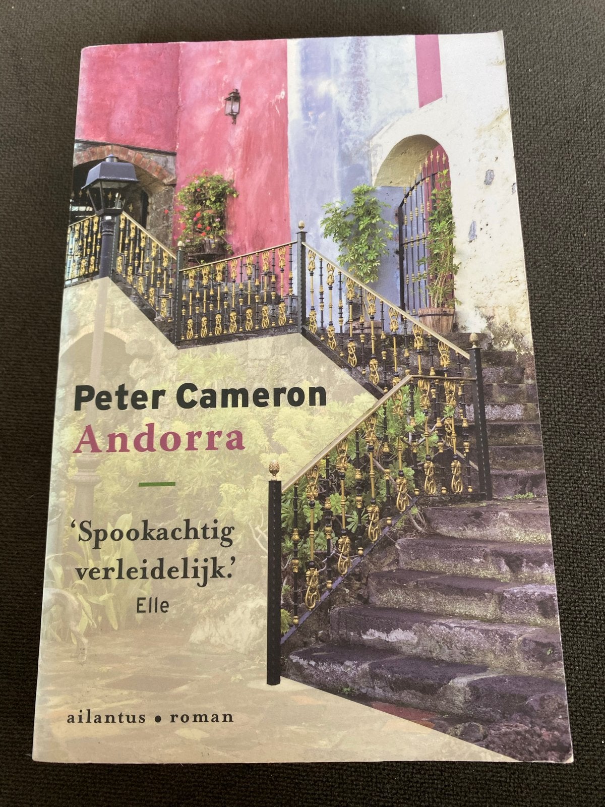 Andorra - Peter Cameron (Roman), Ophalen of Verzenden, Gelezen, Nederland