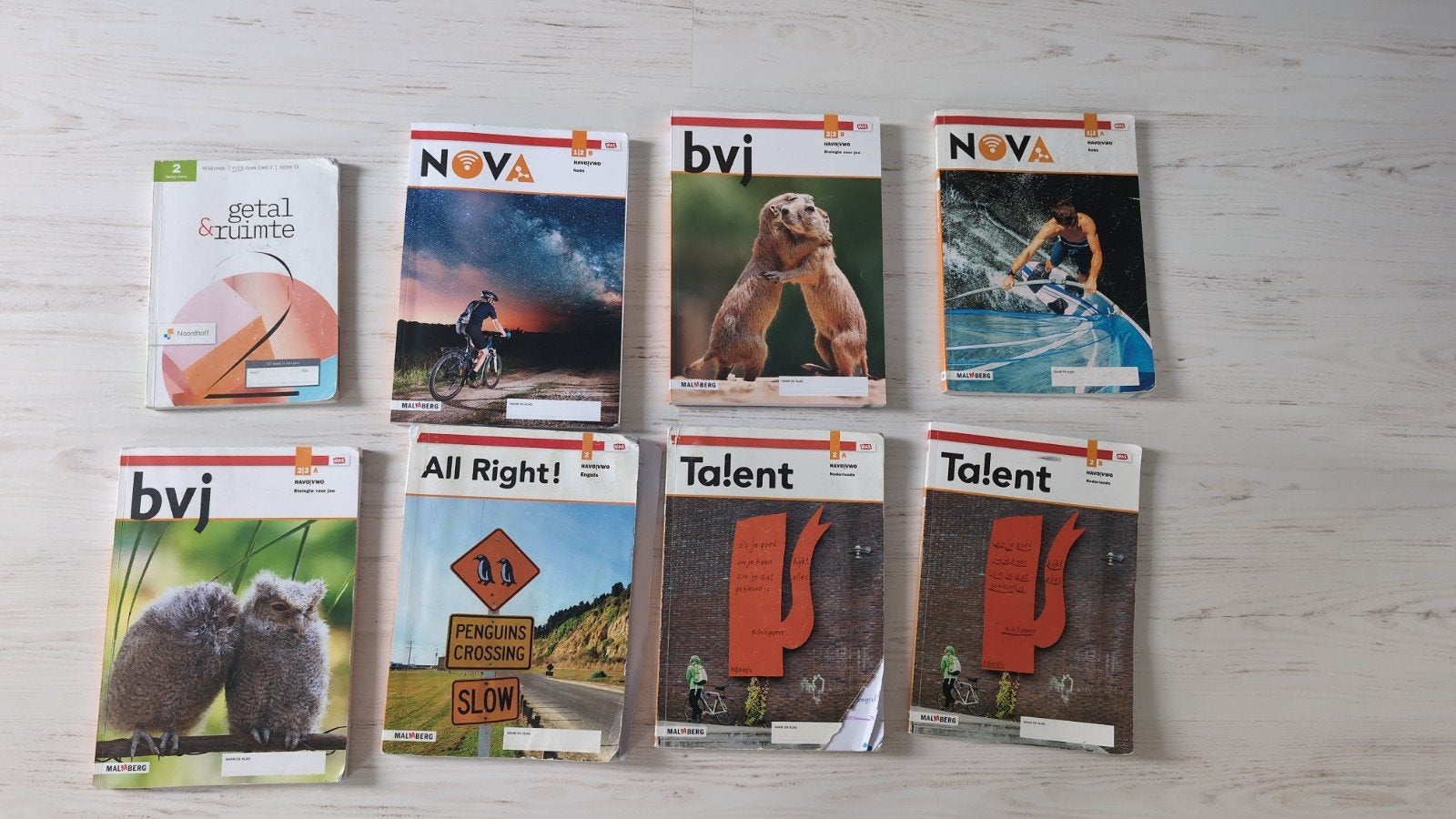 Gratis Studieboeken HAVO/VWO 2: NaSk, Bio, Engels, N, Ophalen, Beta, Gelezen