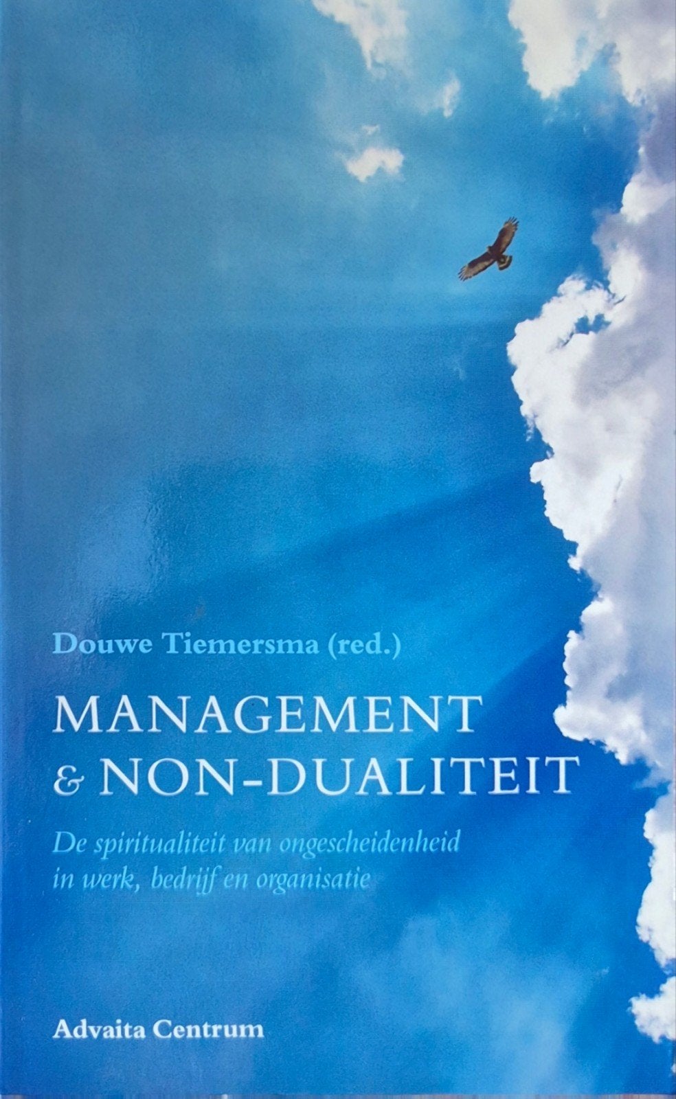 Management & Non-Dualiteit: Spiritualiteit in Werk, Achtergrond en Informatie, Spiritualiteit algemeen, Nieuw, Ophalen of Verzenden
