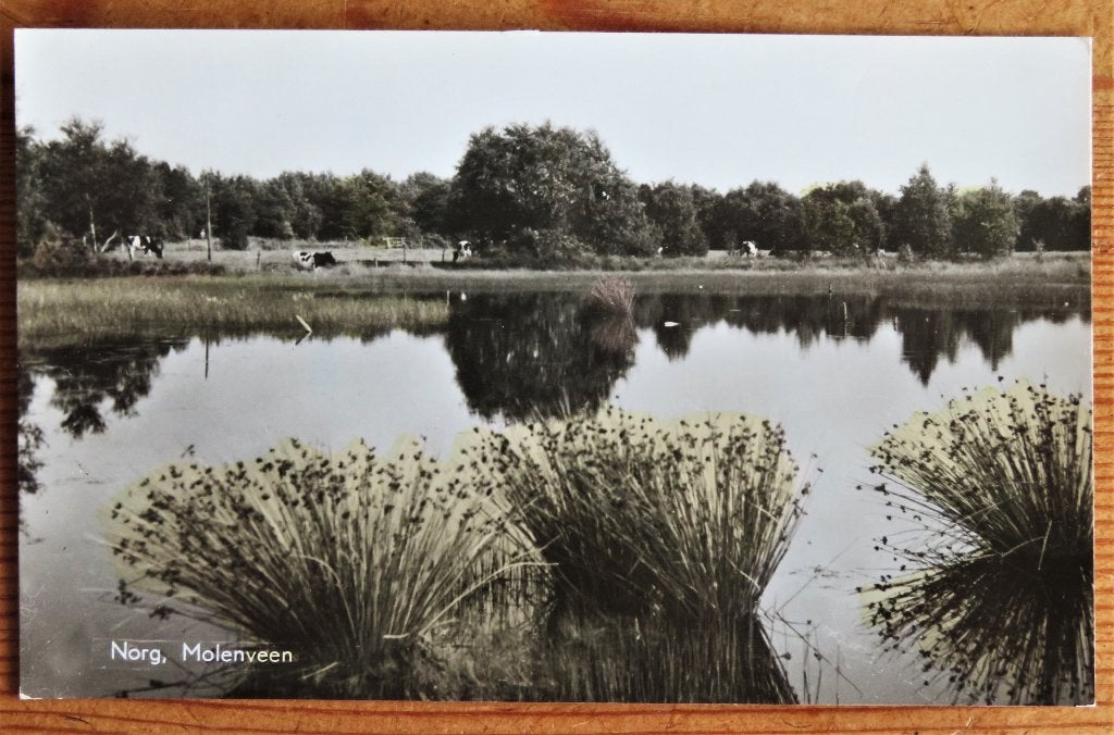 Norg Molenveen, Ophalen of Verzenden, Voor 1920, Noord-Brabant