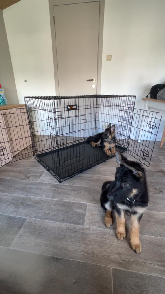 Hondenbench te koop, Ophalen, 110 cm of meer, 65 tot 100 cm, Hondenhok