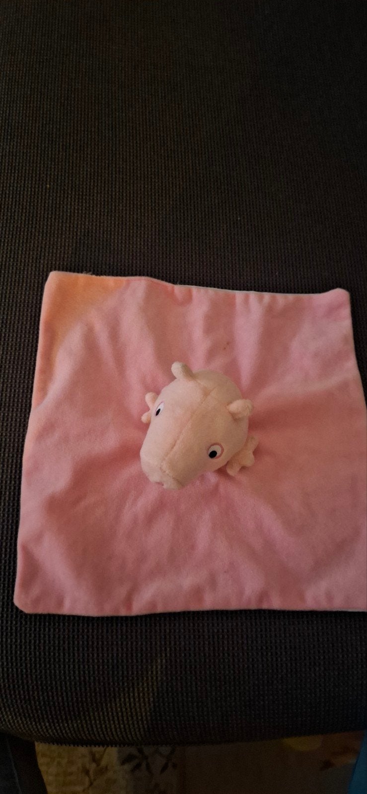 Knuffeldoekje Peppa Pig, Ophalen, Zo goed als nieuw, Roze, Overige typen