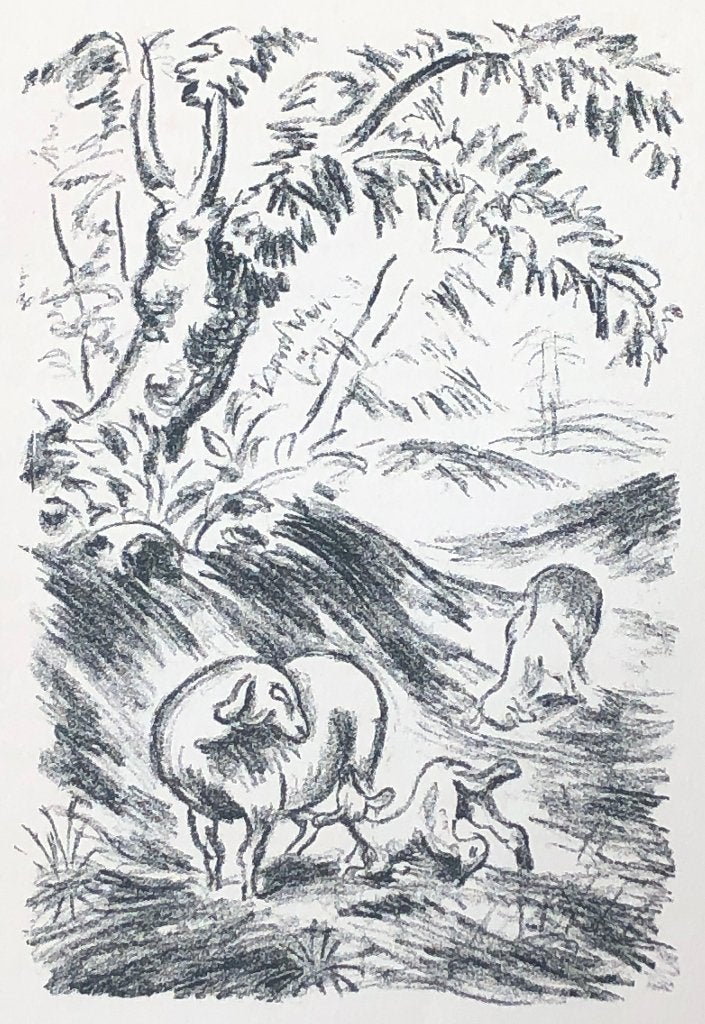 Mooie, betaalbare kunst v/h Grafiekkabinet Richard Seewald, Antiek en Kunst, Ophalen of Verzenden