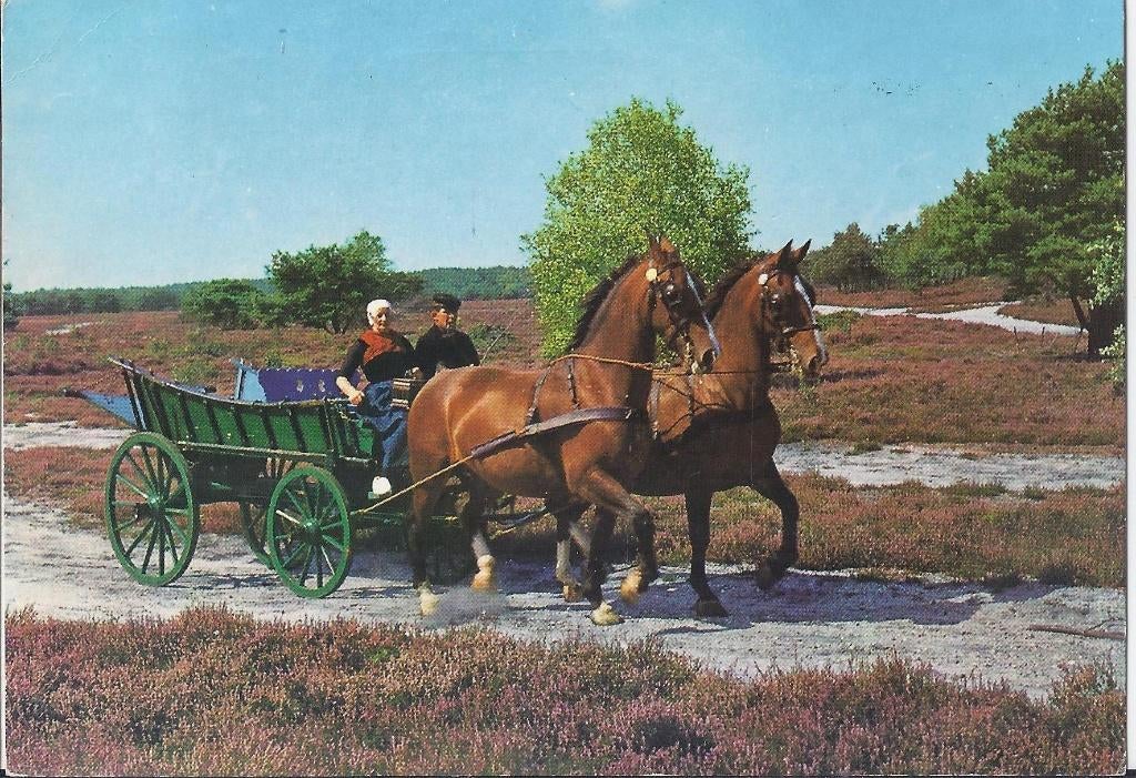 Emmen Gelopen Ansichtkaart (7740), Ophalen of Verzenden, 1980 tot heden, Gelopen, Drenthe