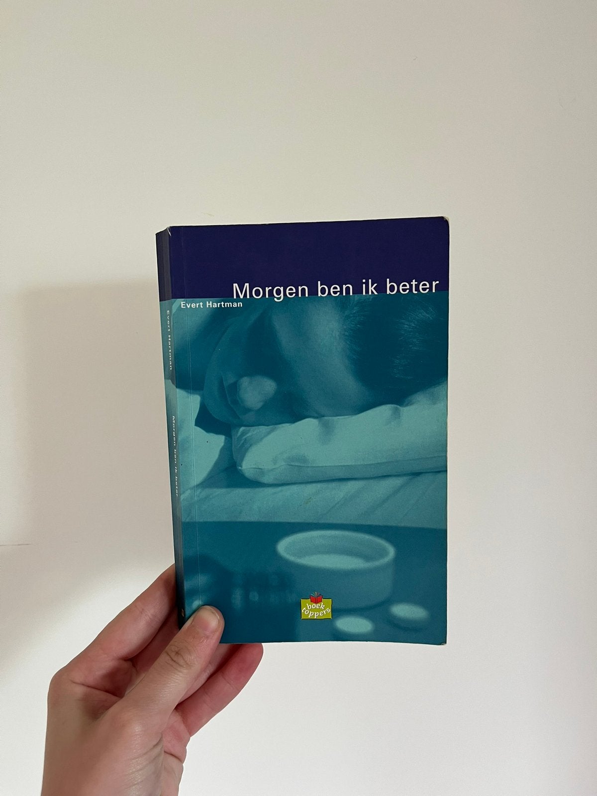 Morgen ben ik beter van Evert Hartman (ISBN: 9789060696675), Boeken, Ophalen of Verzenden, Gelezen, Non-fictie