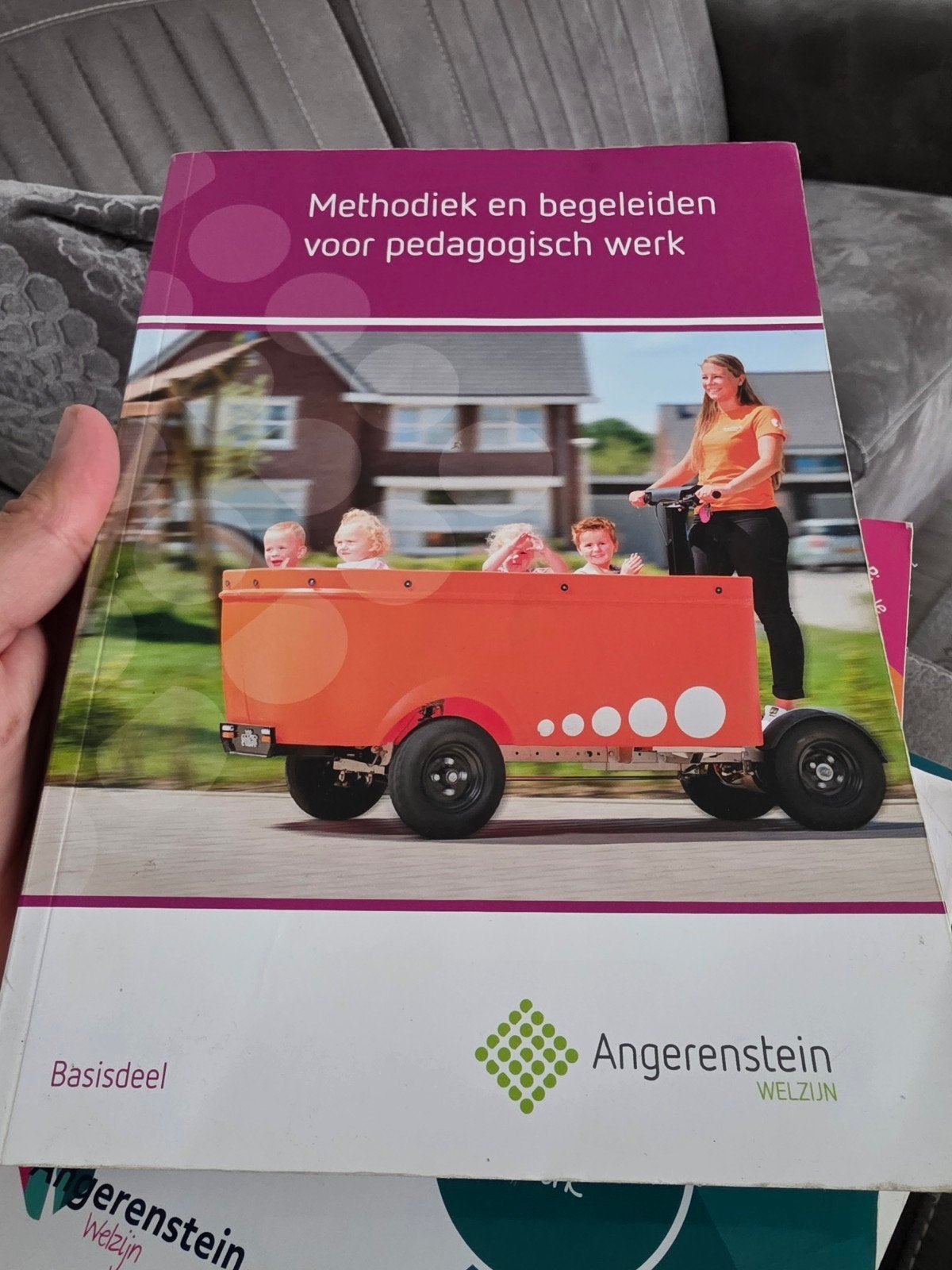 Methodiek en begeleiden voor pedagogisch werk Basisdeel, Boeken, Ophalen, Beta, HBO