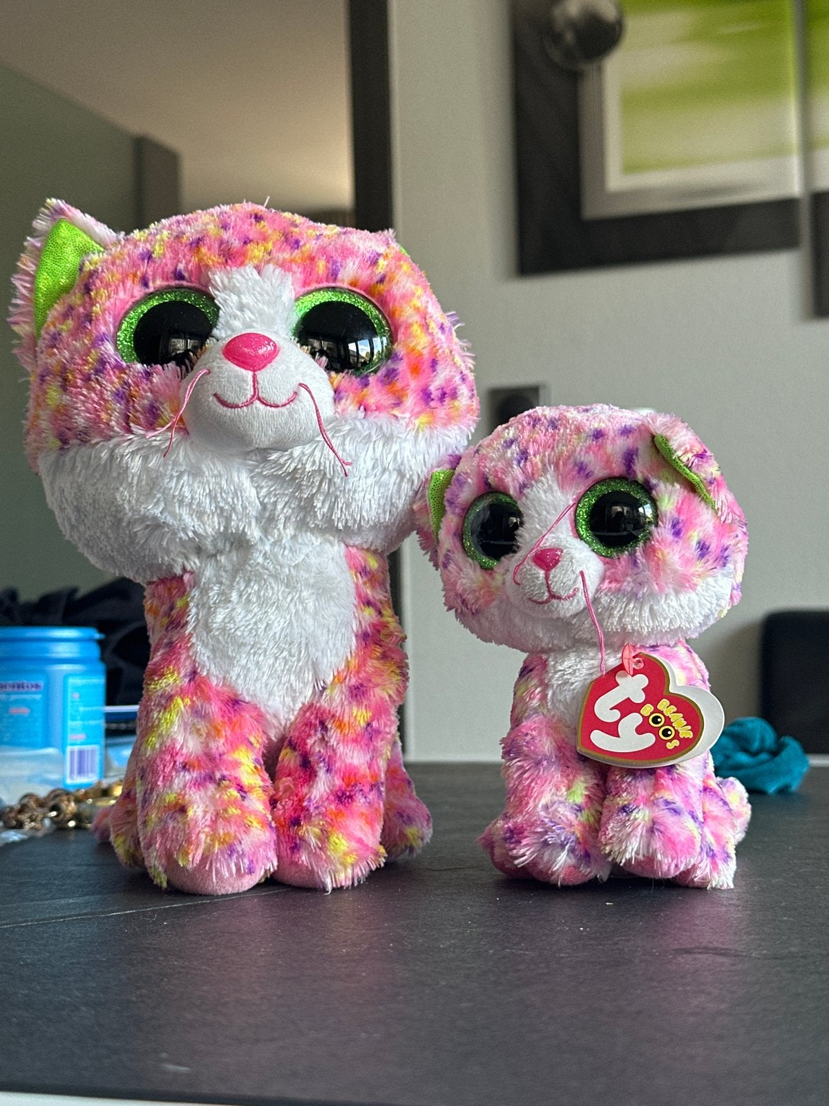 Ty Beanie Boo's Sophie Kat - Groot en Klein Set, Overige karakters, Ophalen of Verzenden, Meerkleurig, Ty