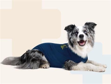 MPS-Protective Pet Shirt Hond *Nieuw*, XS, Ophalen of Verzenden, Hondenshirt, Nieuw