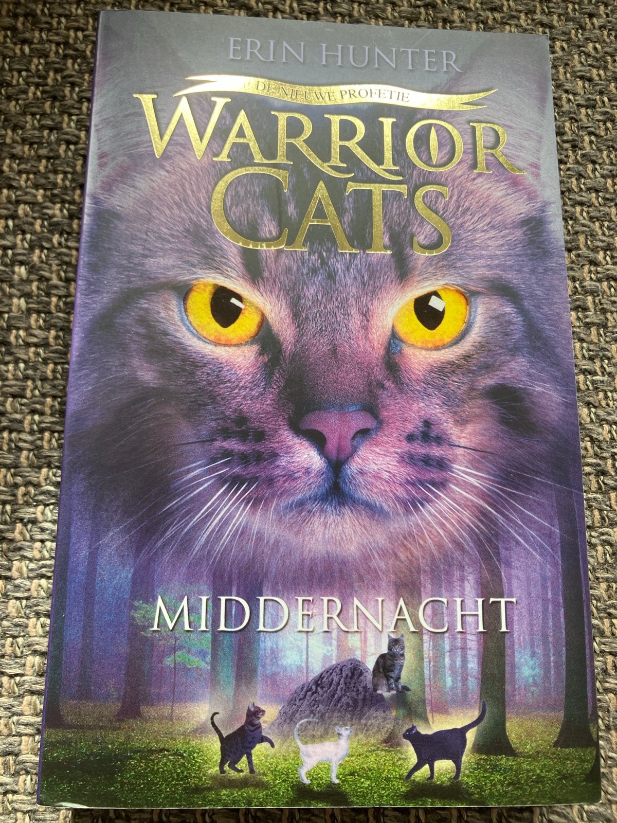Warrior Cats: Middernacht - De Nieuwe Profetie, Boeken, Ophalen of Verzenden, Zo goed als nieuw
