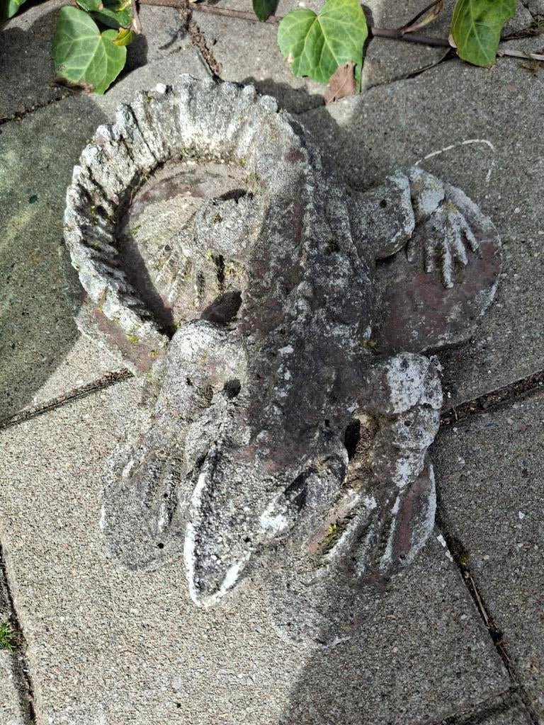 Decoratieve stenen schaal/vogelbadje, Ophalen of Verzenden, Steen