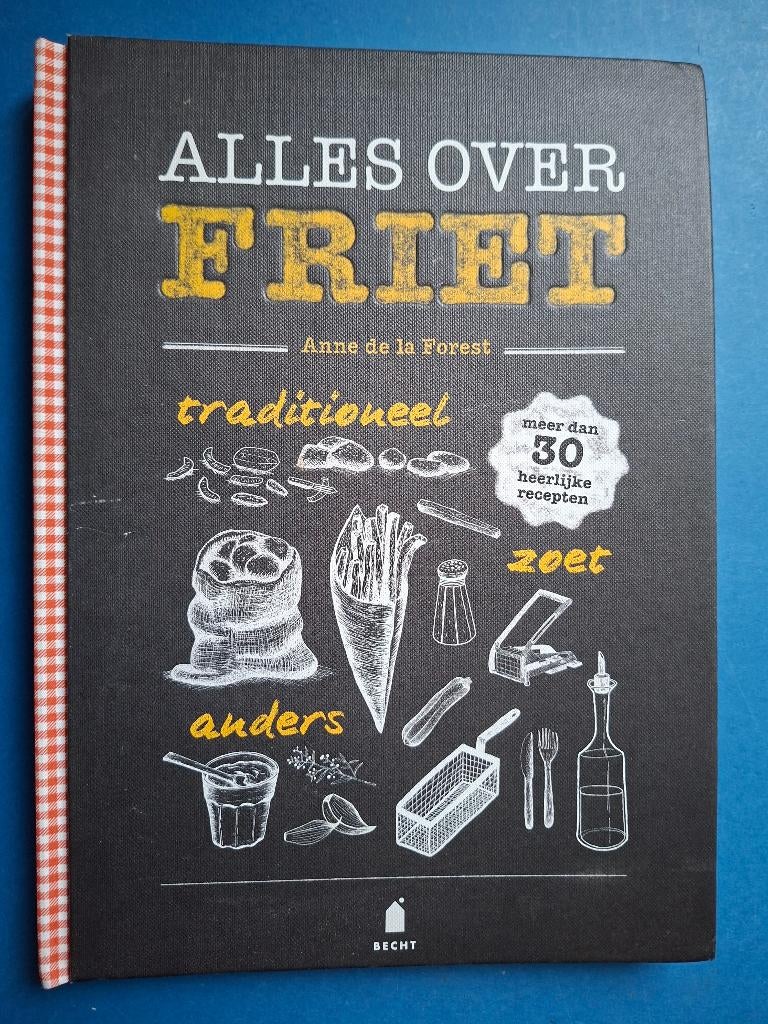 Alles over friet  -  Anne de La Forest, Boeken, Kookboeken, Zo goed als nieuw, Verzenden
