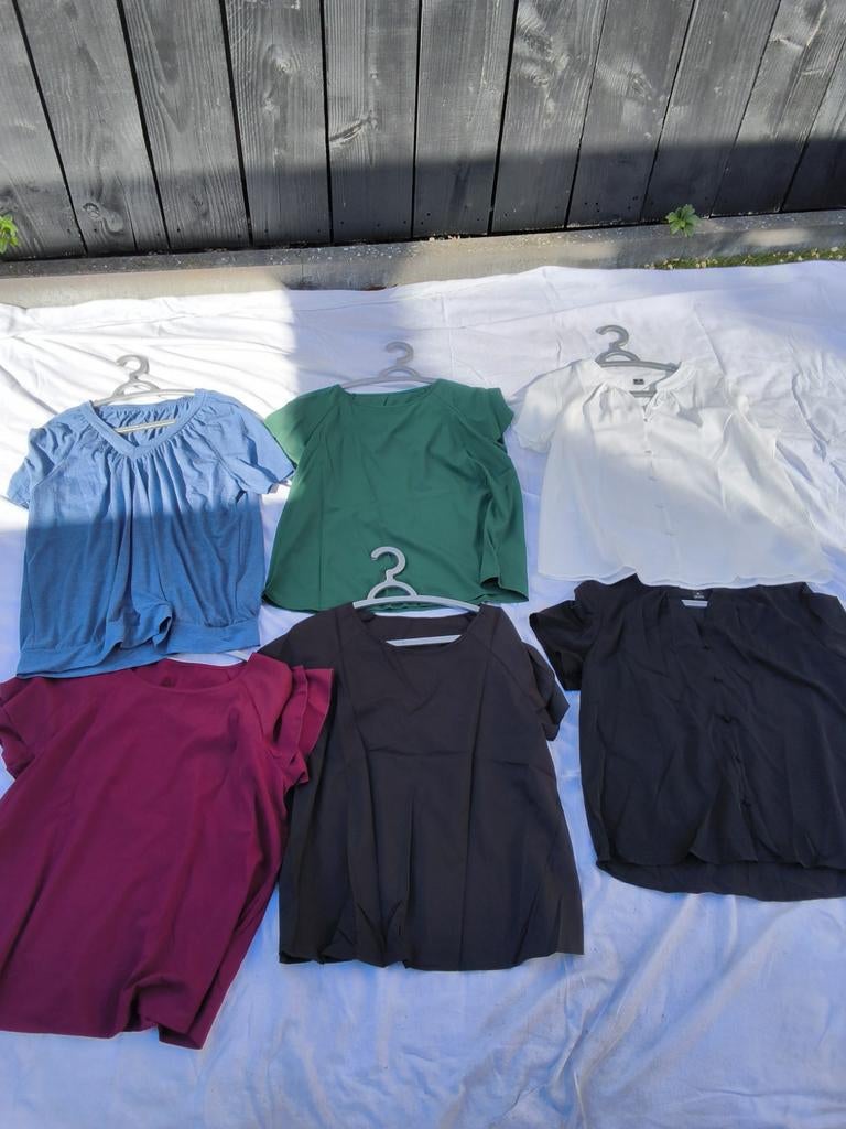 Tops Shein xl, Ophalen of Verzenden, Nieuw, Maat 46/48 (XL) of groter