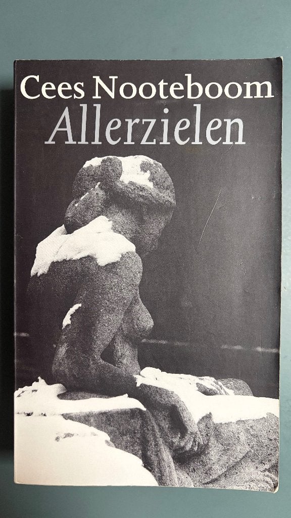 Allerzielen - Cees Nooteboom, Boeken, Gelezen, Ophalen of Verzenden, Cees Nooteboom, Nederland