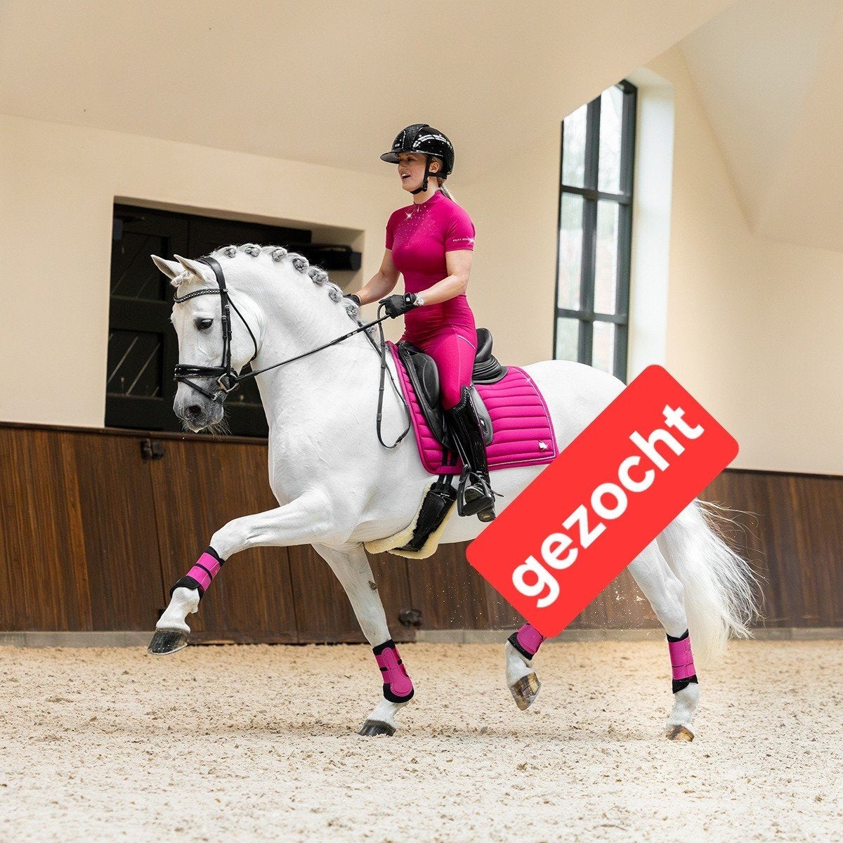 gezocht: Britt Equestrian kleding en dekje, Ophalen of Verzenden