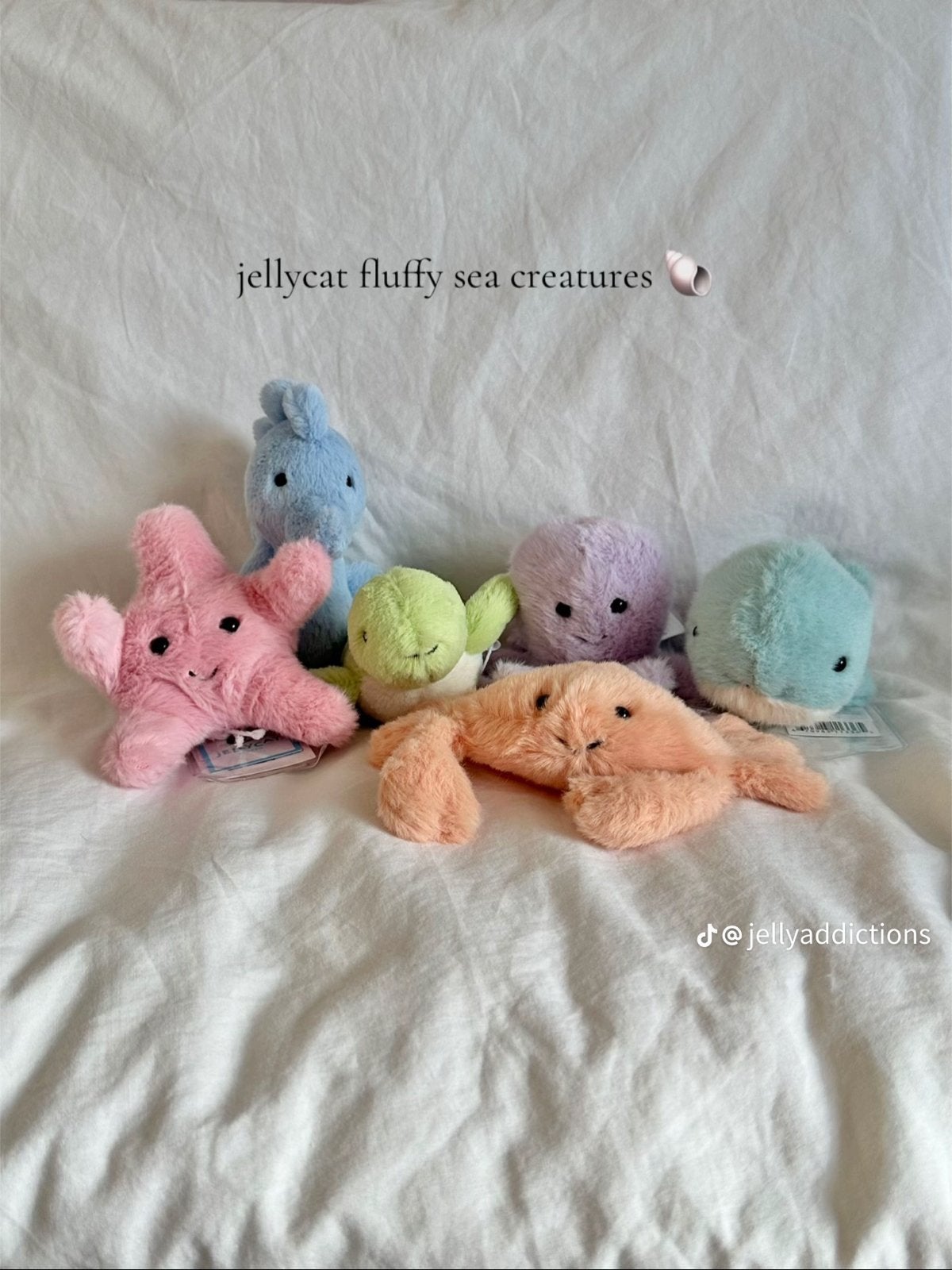 GEZOCHT mini fluffy jellycats, Kinderen en Baby's, Ophalen of Verzenden, Nieuw, Overige typen