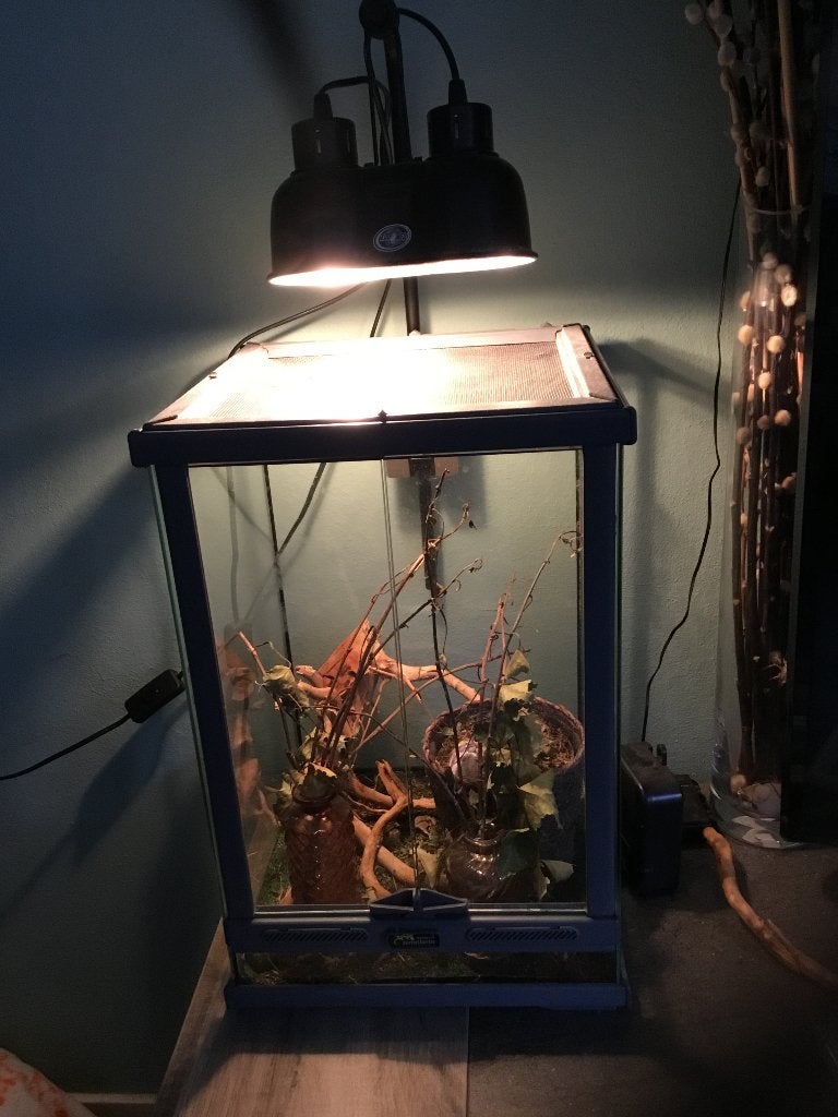 Terrarium, Dieren en Toebehoren, Ophalen, Gebruikt, Terrarium of Paludarium